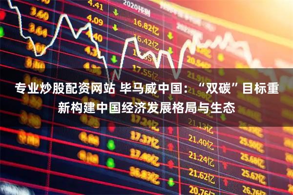 专业炒股配资网站 毕马威中国：“双碳”目标重新构建中国经济发展格局与生态